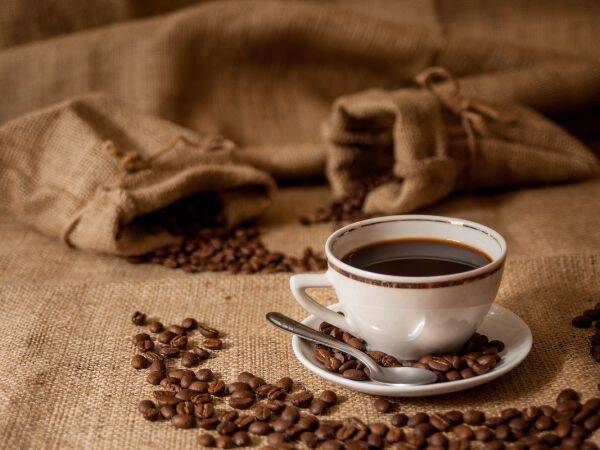 Kawa mielona - rodzaje, smaki i ziarna dla każdego gustu